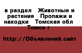  в раздел : Животные и растения » Пропажи и находки . Томская обл.,Томск г.